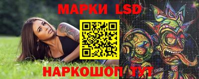 сатива Будённовск