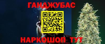 сатива Будённовск