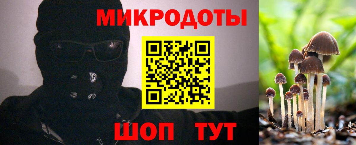 Псилоцибиновые грибы MAGIC MUSHROOMS Троицк